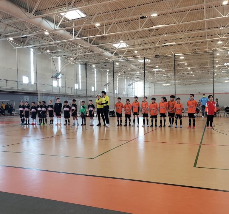 Soccer Field image 2