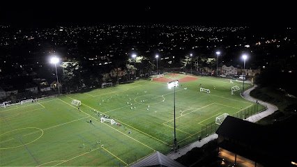 Soccer Field image 1