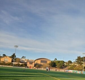 Soccer Field image 2