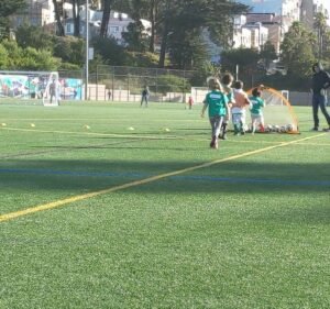 Soccer Field image 4
