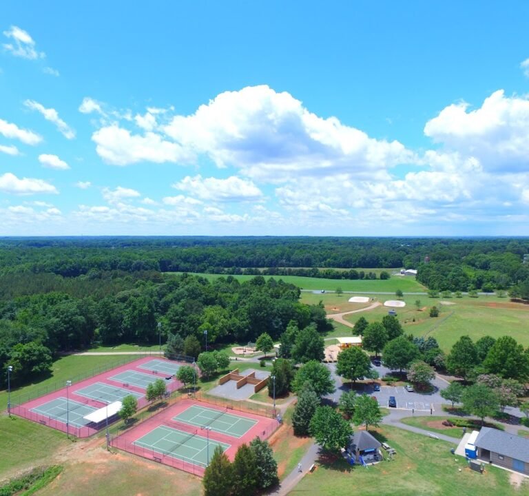 Soccer Field image 2