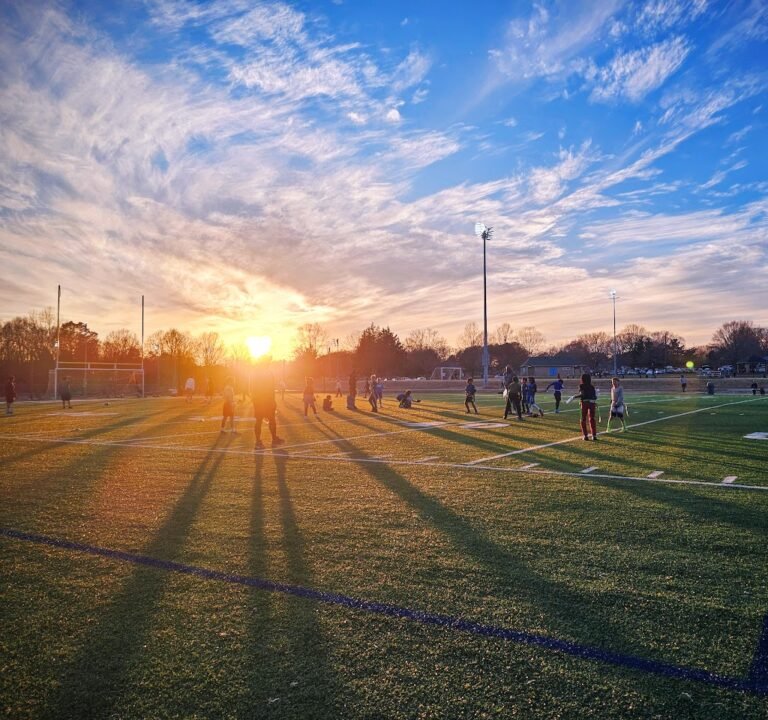Soccer Field image 3