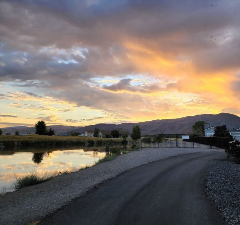 Soccer Field image 3
