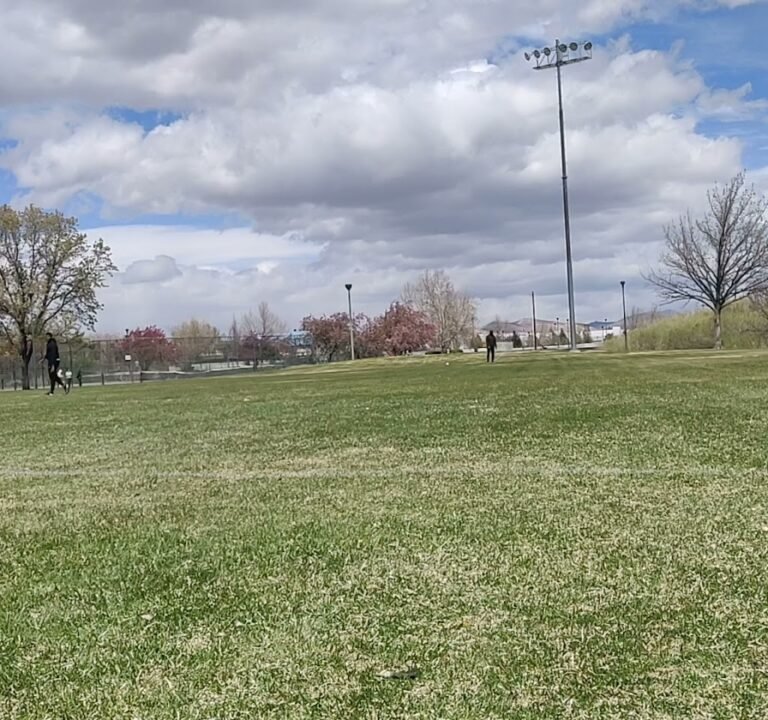 Soccer Field image 4