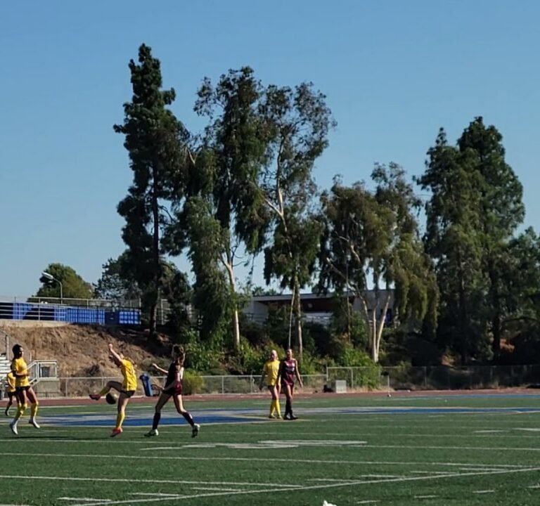 Soccer Field image 2