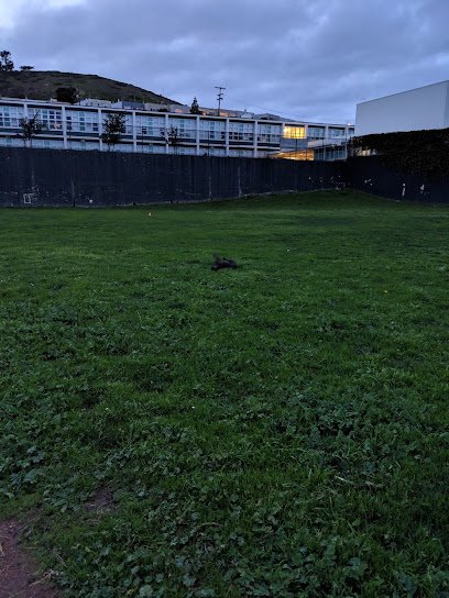 Soccer Field image 1