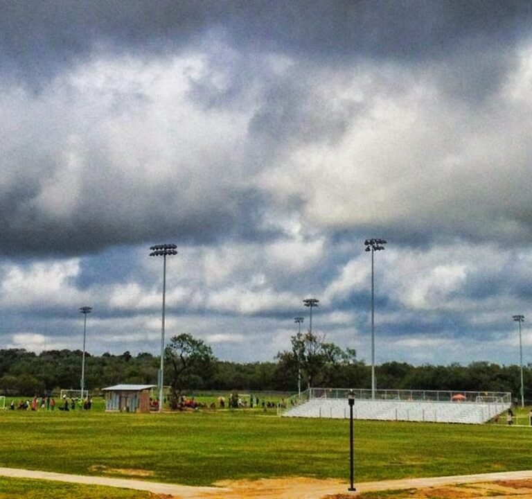 Soccer Field image 2