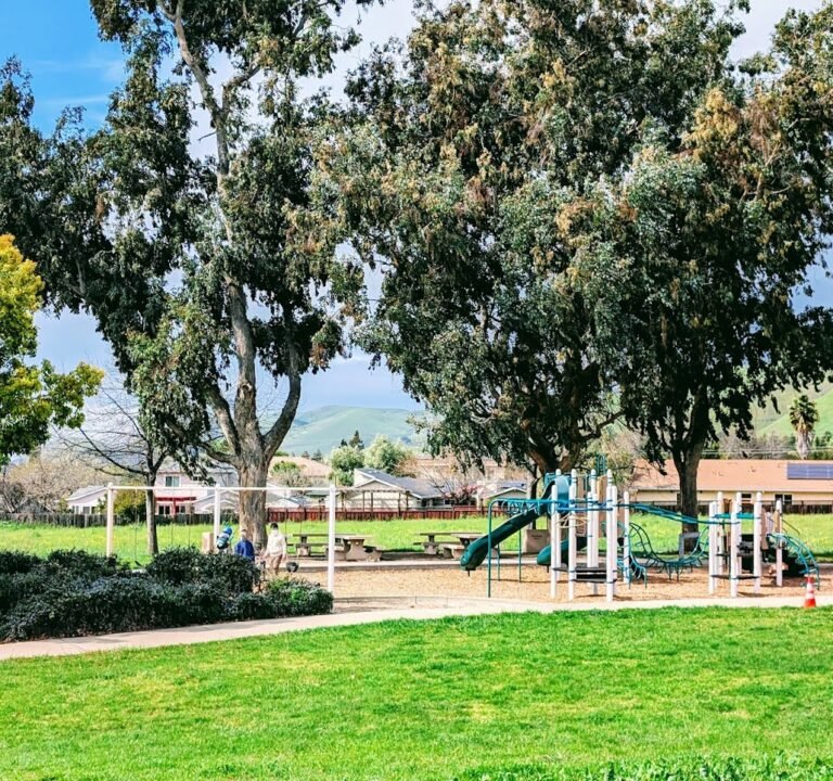 Soccer Field image 3