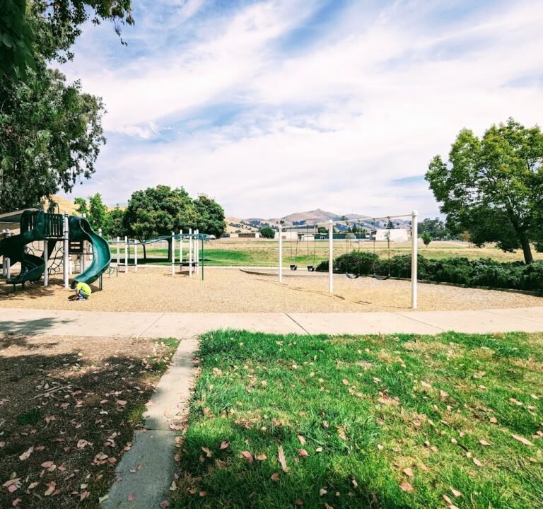 Soccer Field image 2