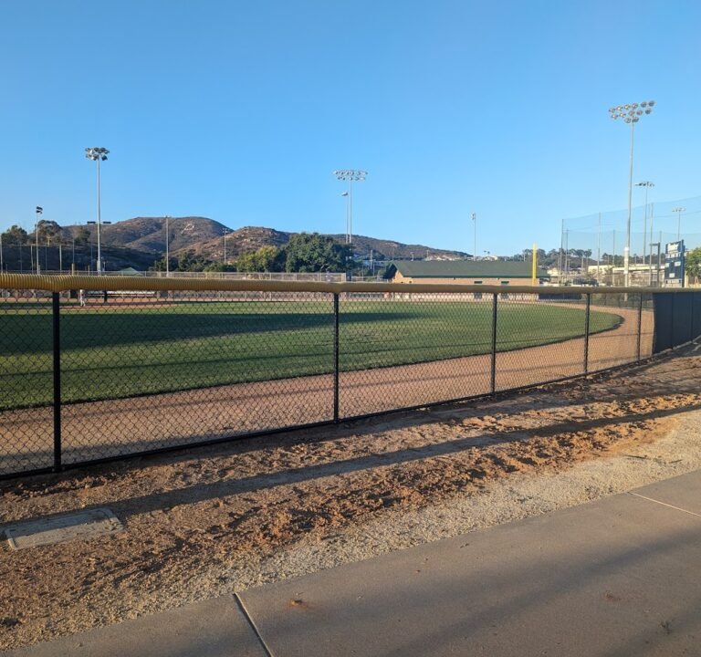 Soccer Field image 2