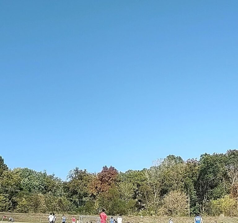 Soccer Field image 4