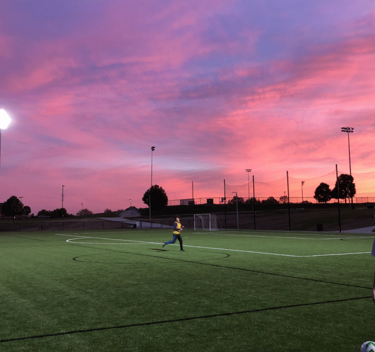 Soccer Field image 2