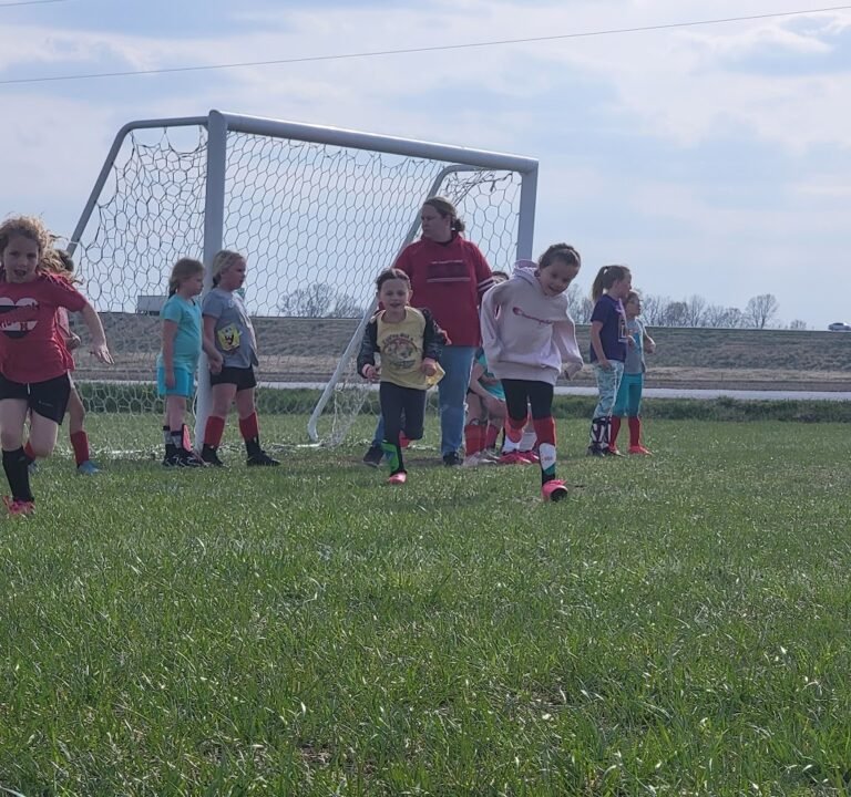 Soccer Field image 2