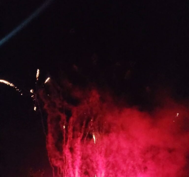 Soccer Field image 4