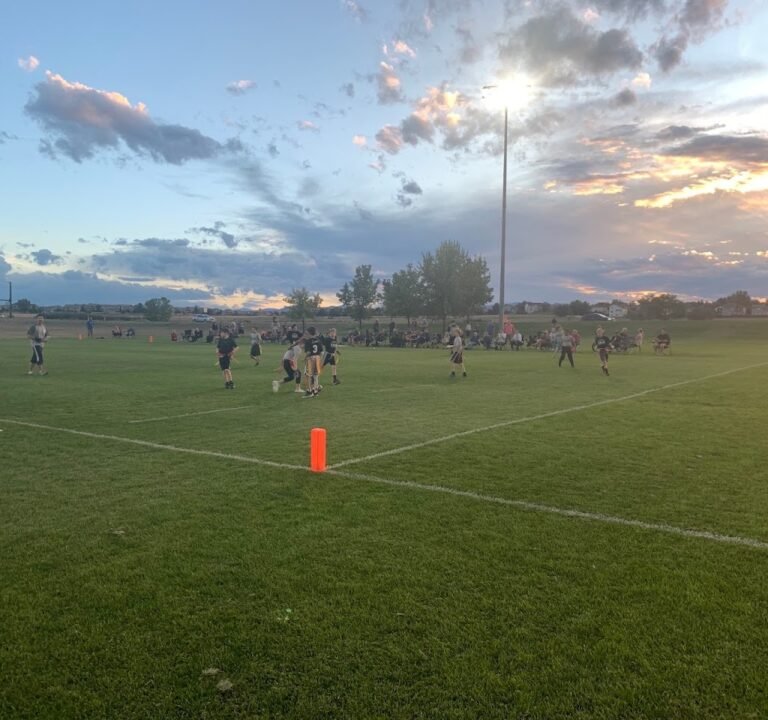 Soccer Field image 3