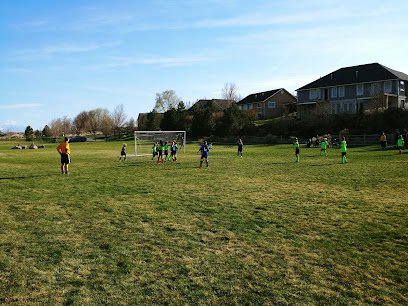 Soccer Field image 1