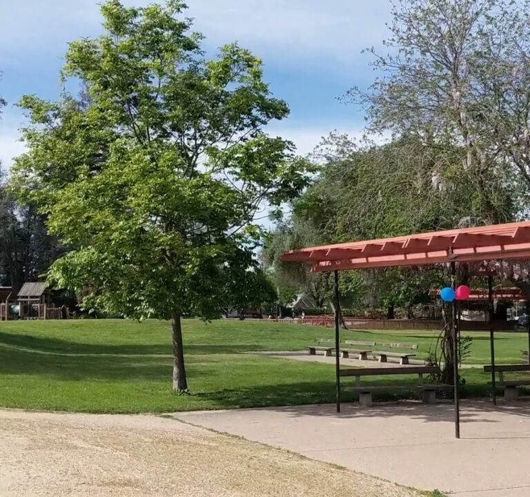Soccer Field image 4