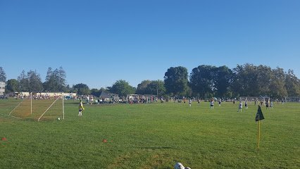 Soccer Field image 1