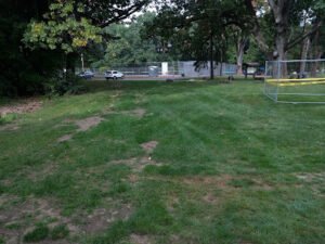 Soccer Field image 1