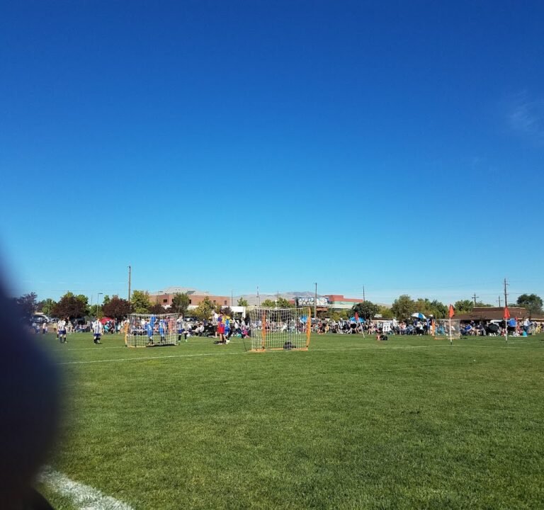 Soccer Field image 2