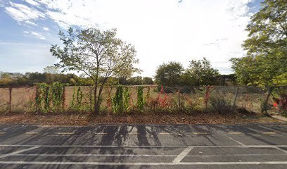 Soccer Field image 1