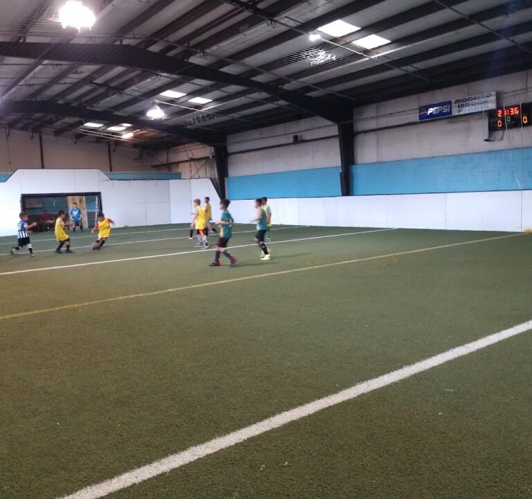 Soccer Field image 3