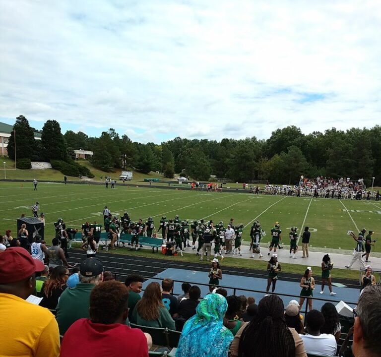 Soccer Field image 2