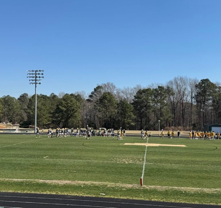 Soccer Field image 3