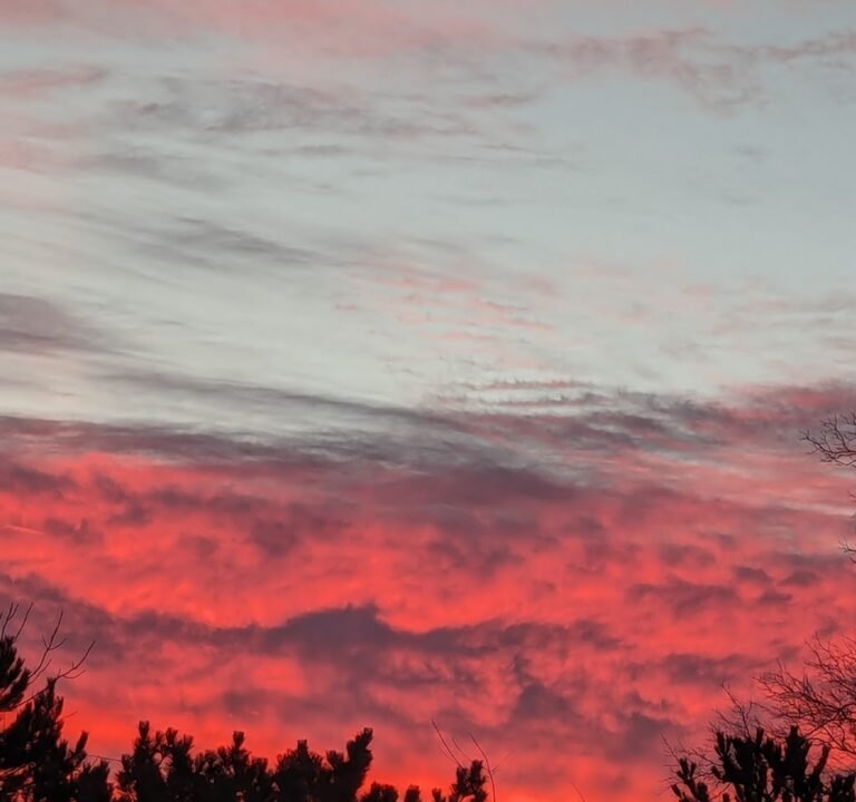 Soccer Field image 3