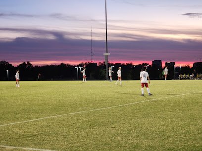 Soccer Field image 1