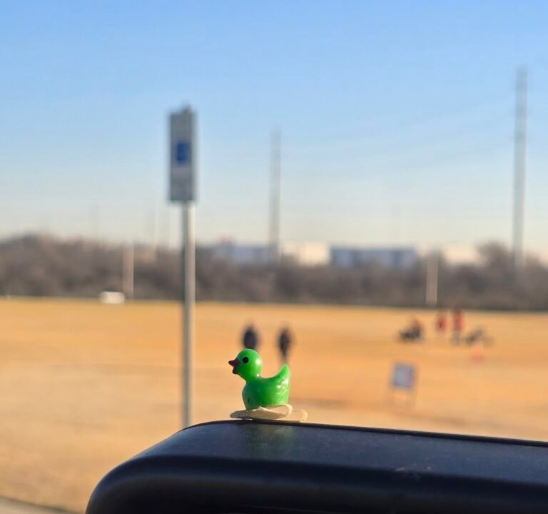 Soccer Field image 3