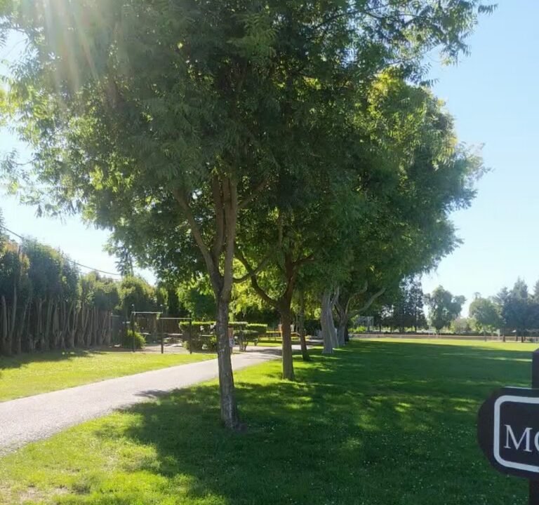 Soccer Field image 4