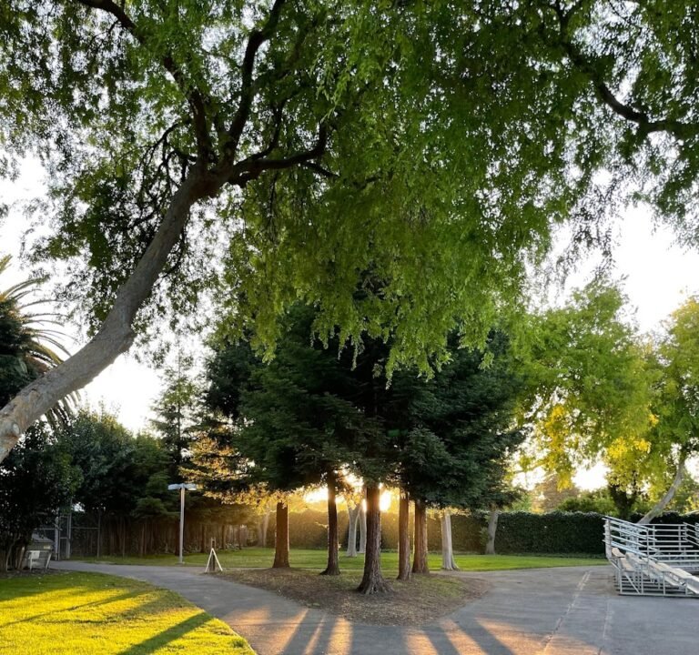 Soccer Field image 2