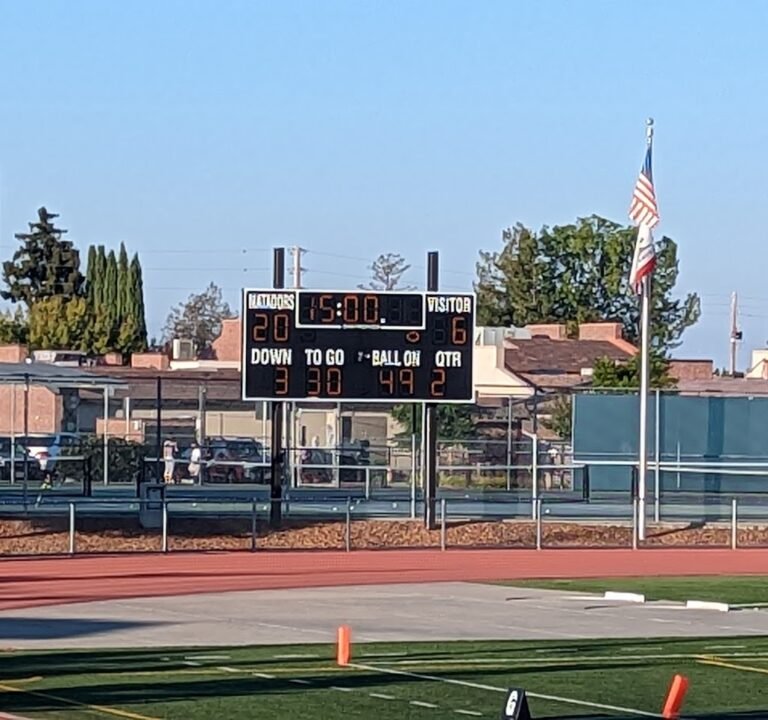Soccer Field image 2