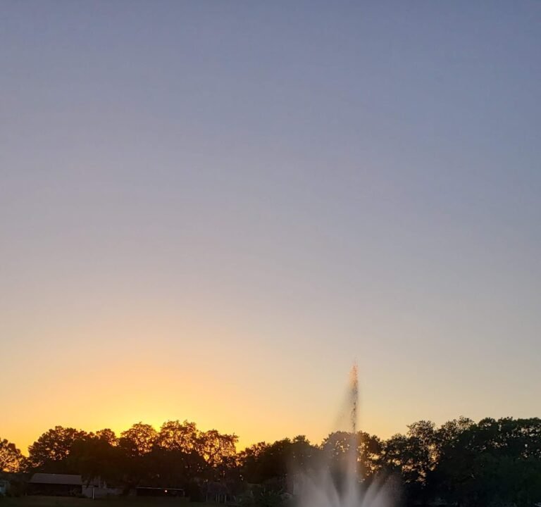 Soccer Field image 3