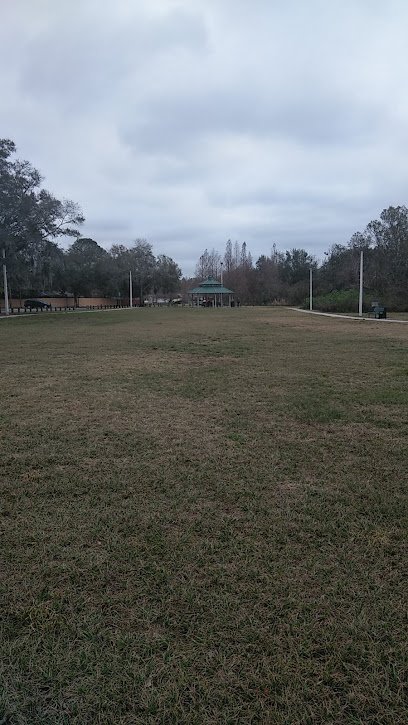 Soccer Field image 1