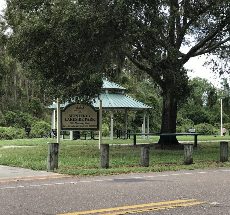 Soccer Field image 2