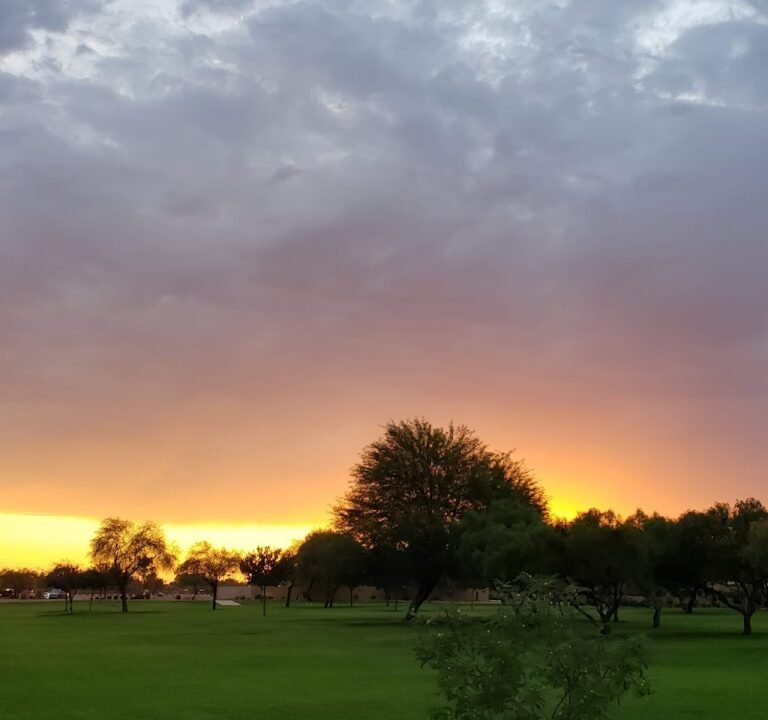 Soccer Field image 2