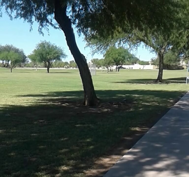 Soccer Field image 4