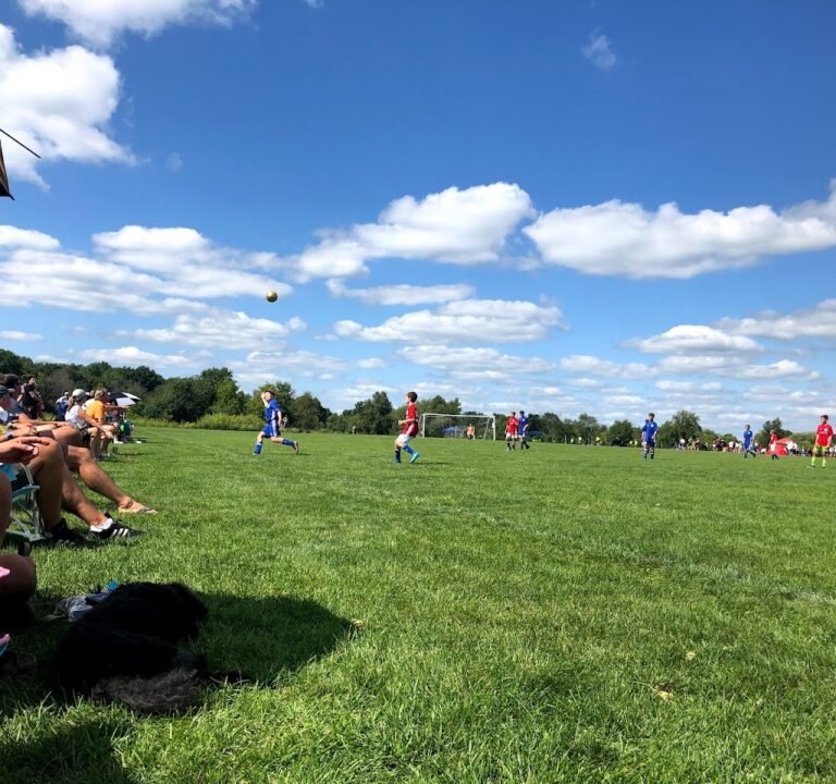 Soccer Field image 2