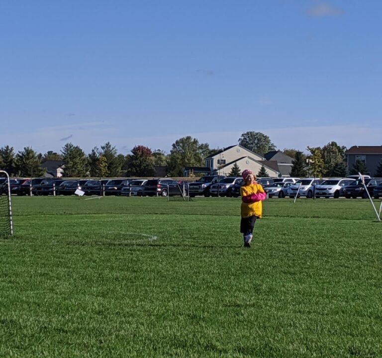 Soccer Field image 3