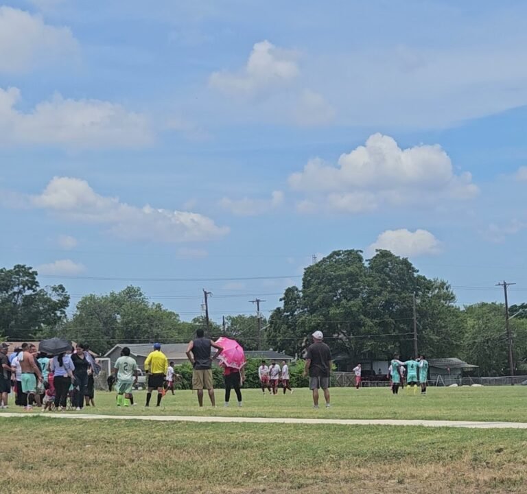 Soccer Field image 3