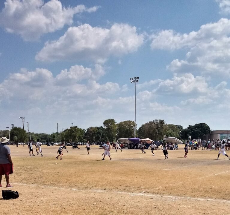 Soccer Field image 2