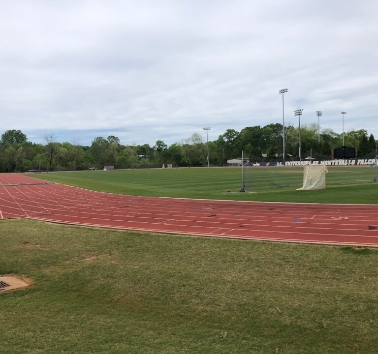 Soccer Field image 3