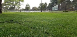 Soccer Field image 1