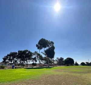 Soccer Field image 2