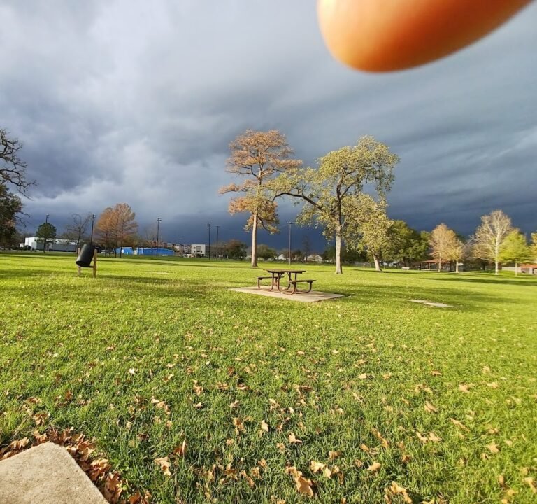 Soccer Field image 2