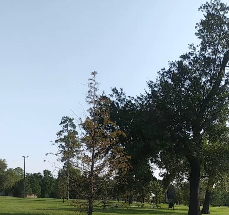 Soccer Field image 3