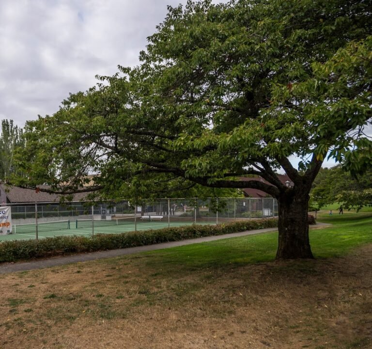 Soccer Field image 2