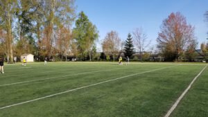 Soccer Field image 1